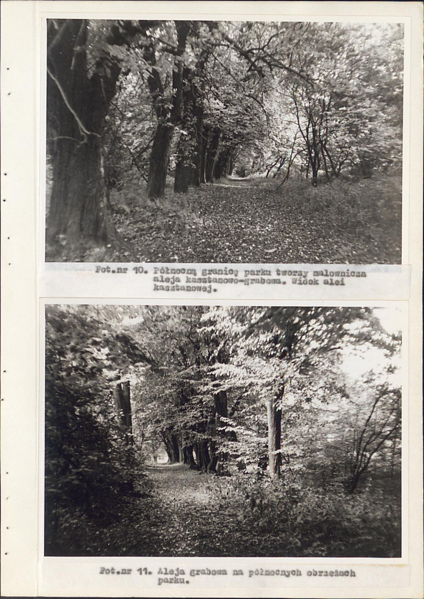 EP - Ewidencja parkowa, skan nr 33