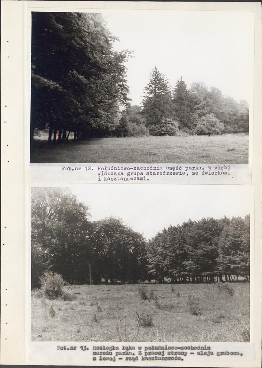 EP - Ewidencja parkowa, skan nr 34