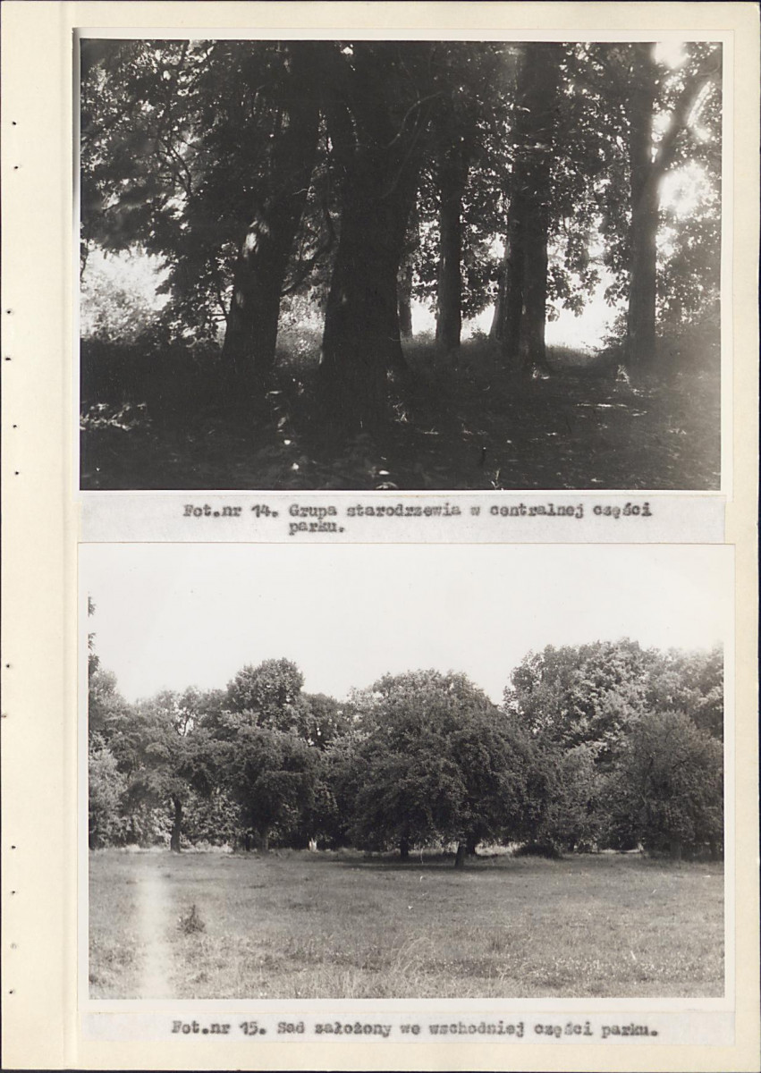 EP - Ewidencja parkowa, skan nr 35