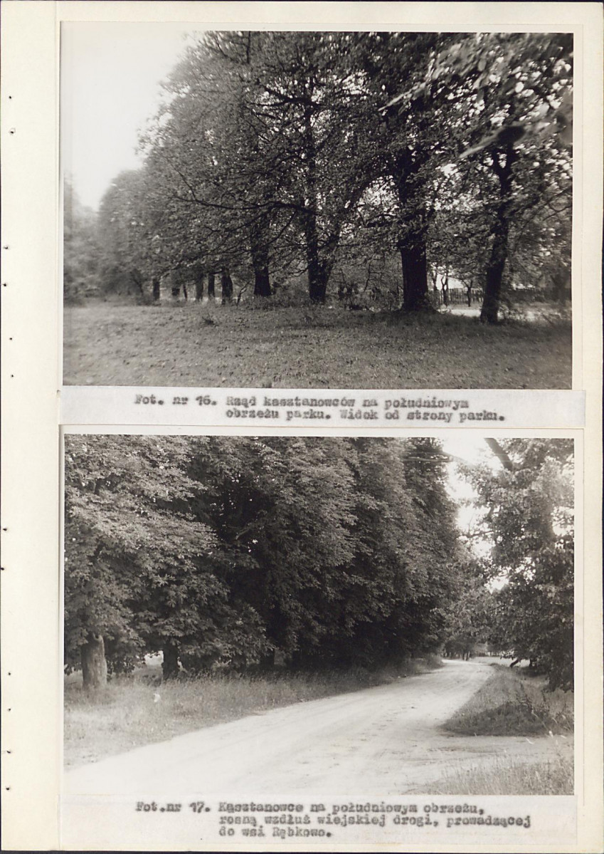 EP - Ewidencja parkowa, skan nr 36