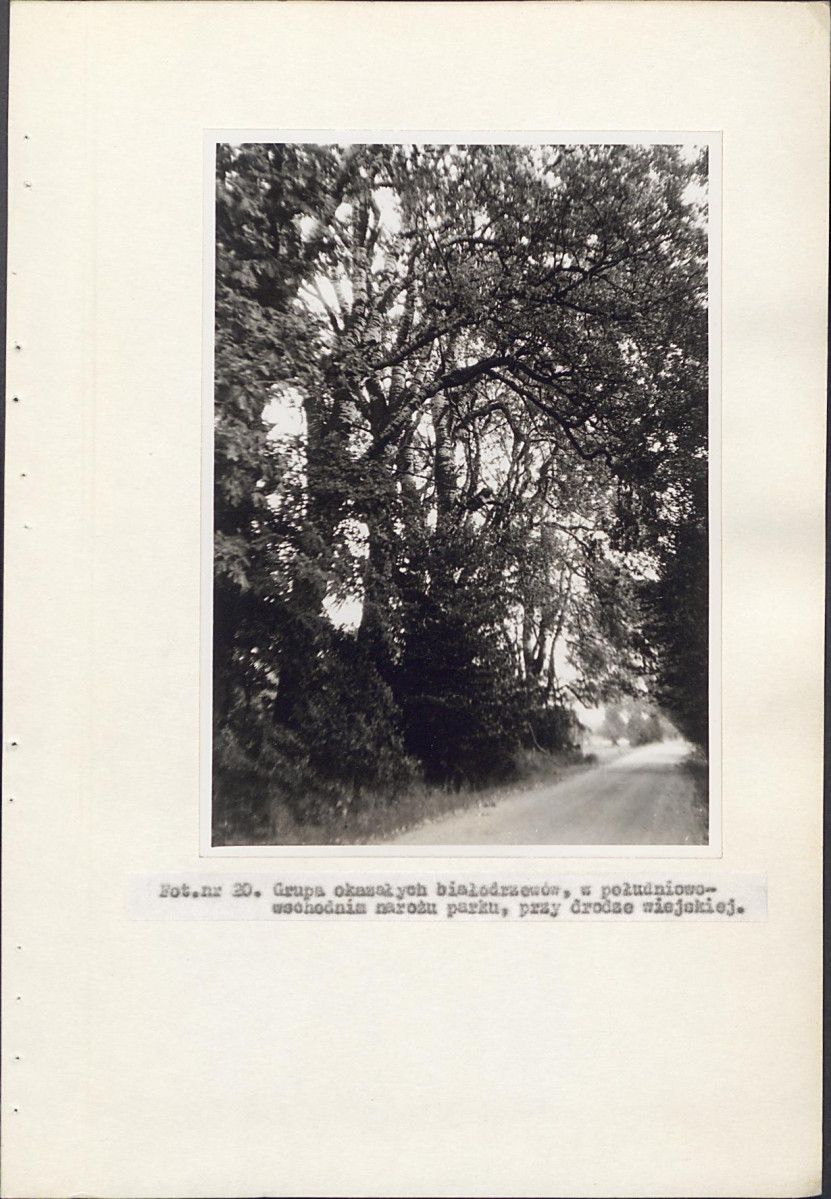 EP - Ewidencja parkowa, skan nr 38