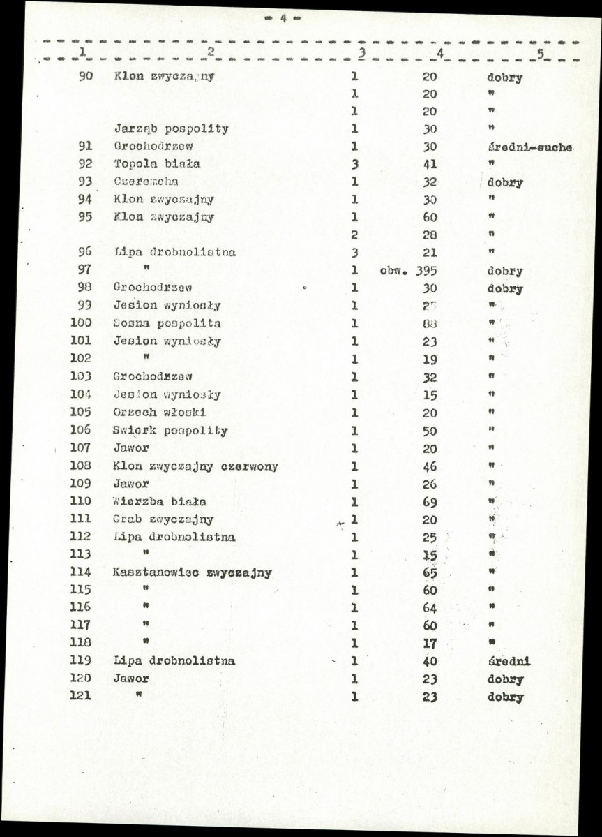 Ewidencja parkowa, skan nr 11