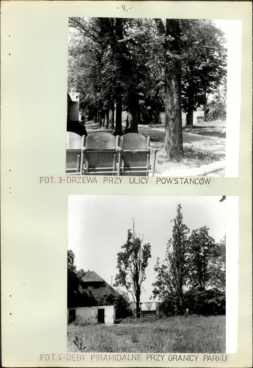 EP - Ewidencja parkowa, skan nr 16