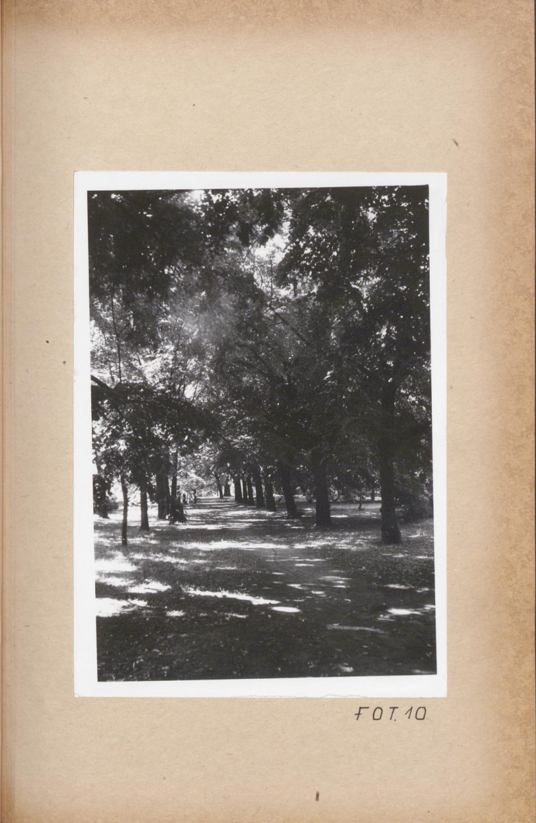 Ewidencja parkowa, skan nr 50
