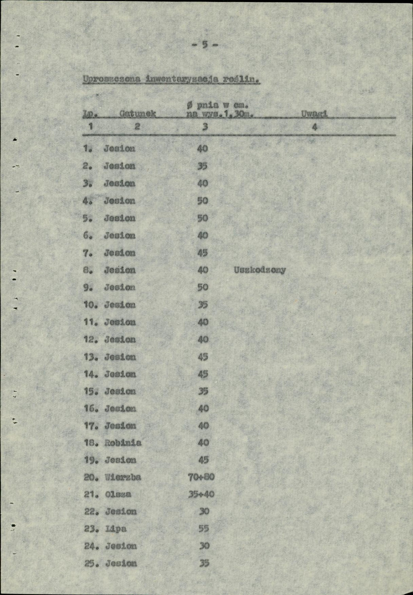 Ewidencja parkowa, skan nr 10