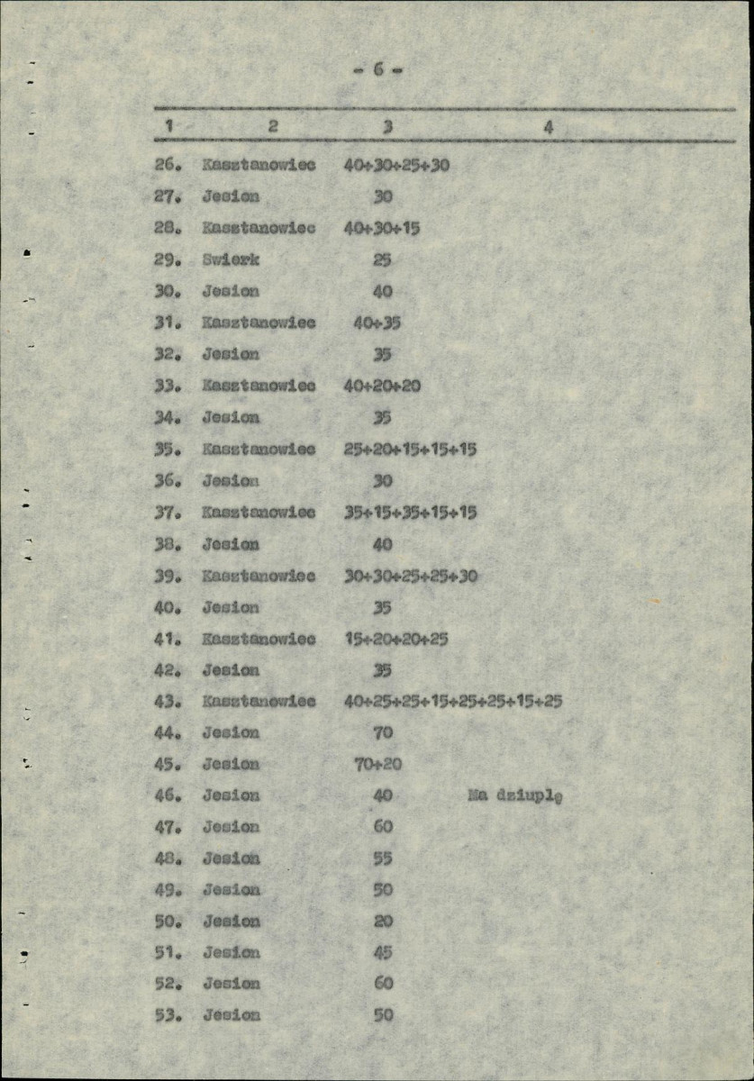 Ewidencja parkowa, skan nr 11
