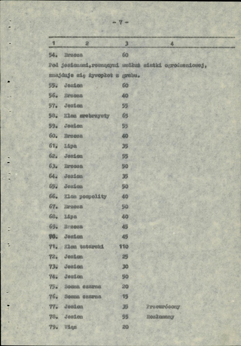 Ewidencja parkowa, skan nr 12