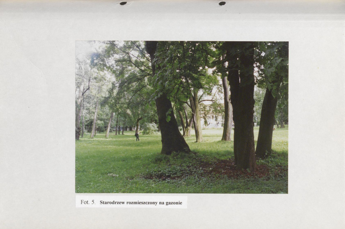 Ewidencja parkowa, skan nr 46