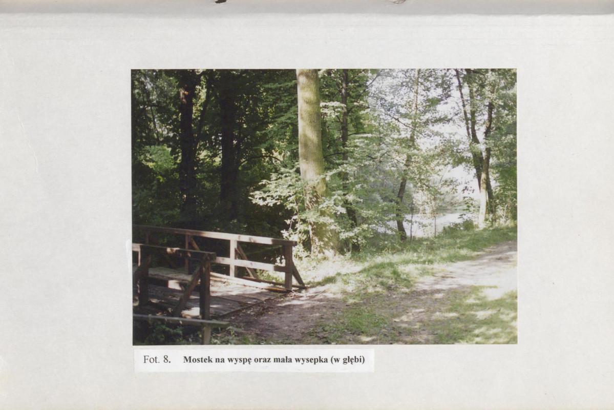 Ewidencja parkowa, skan nr 49