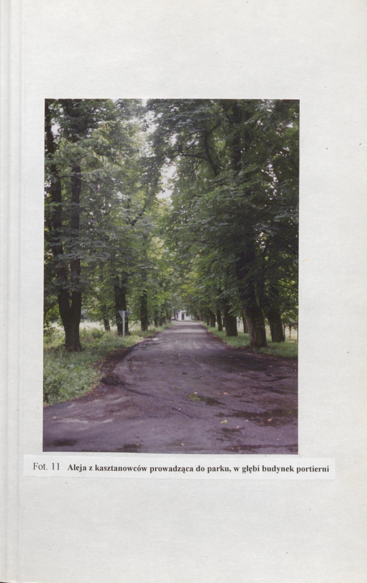 Ewidencja parkowa, skan nr 52