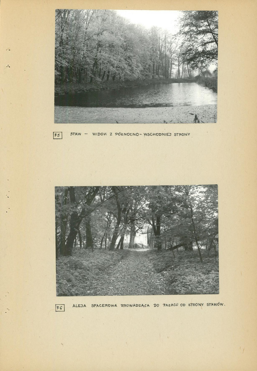 Ewidencja parkowa, skan nr 26