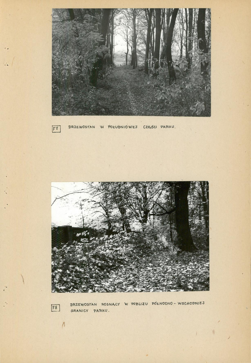 Ewidencja parkowa, skan nr 27