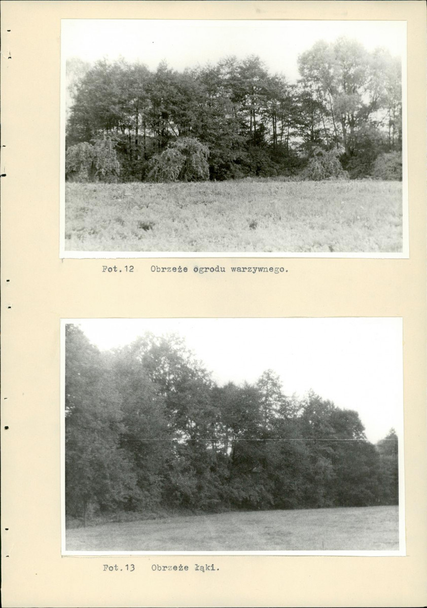 Ewidencja parkowa, skan nr 24