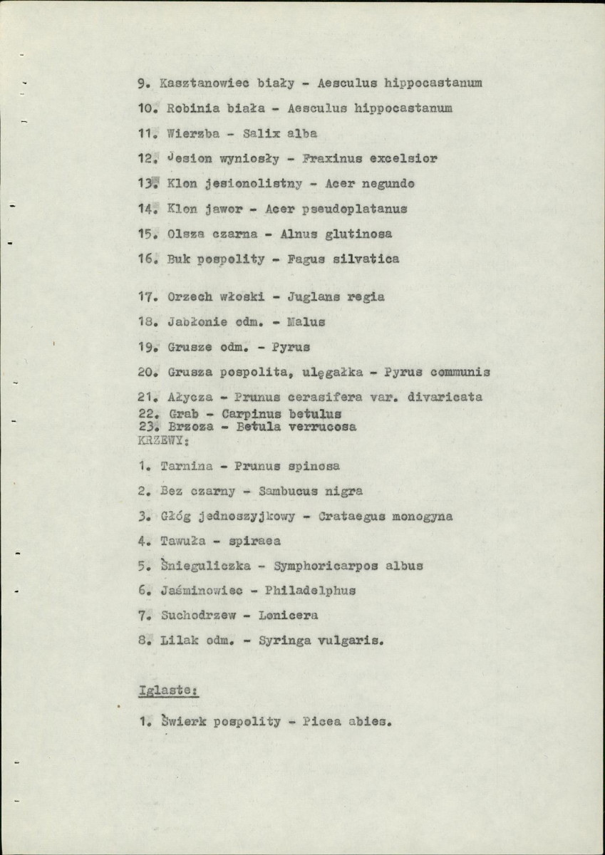 Ewidencja parkowa, skan nr 11