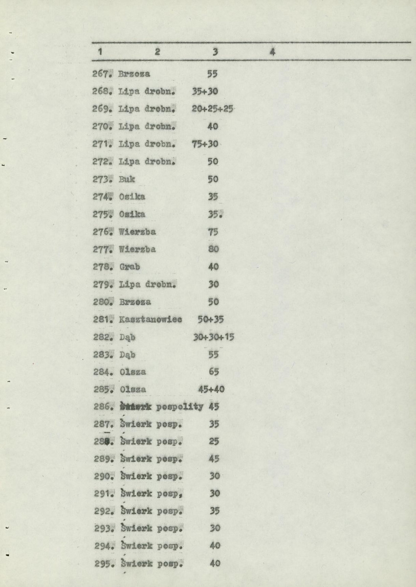 Ewidencja parkowa, skan nr 21