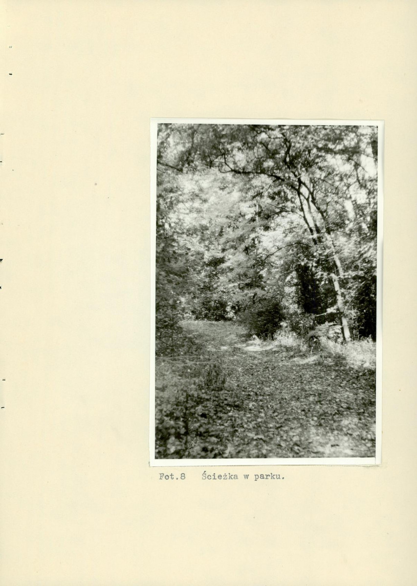 Ewidencja parkowa, skan nr 32