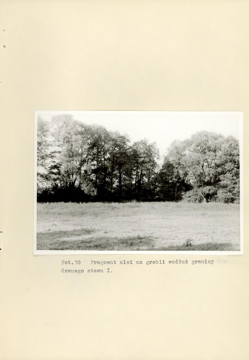 Ewidencja parkowa, skan nr 34
