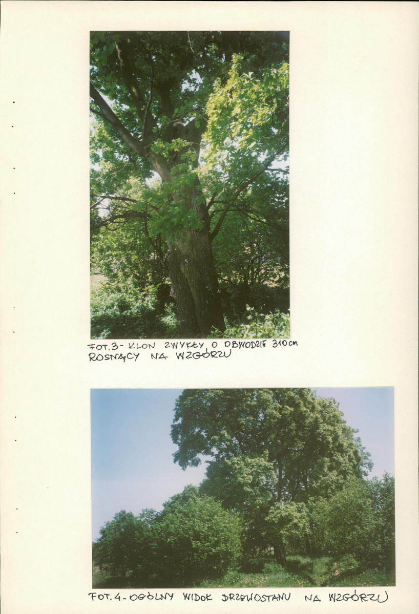 EP - Ewidencja parkowa, skan nr 22