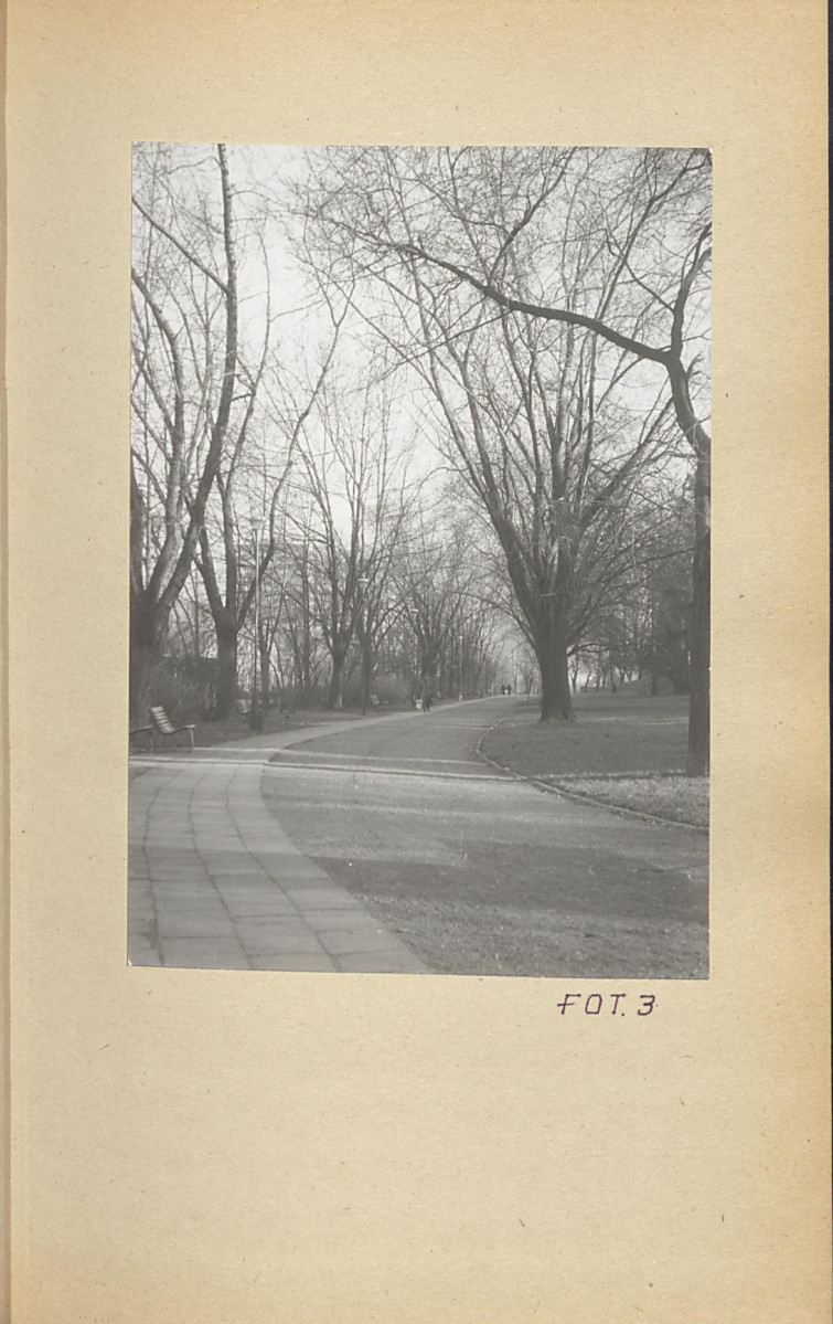 Ewidencja parkowa, skan nr 30