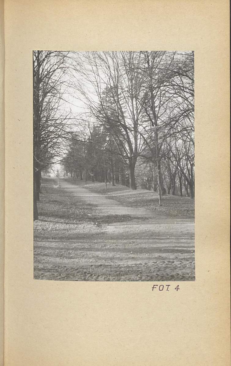 Ewidencja parkowa, skan nr 31