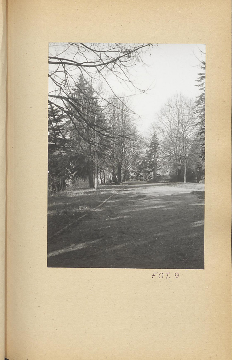 Ewidencja parkowa, skan nr 36