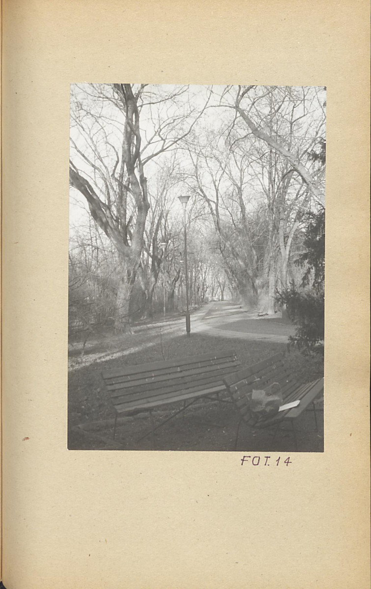 Ewidencja parkowa, skan nr 41