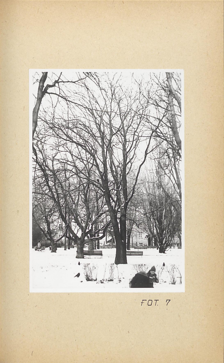 Ewidencja parkowa, skan nr 38