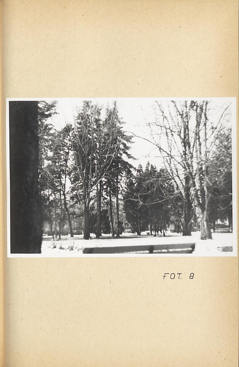 Ewidencja parkowa, skan nr 39