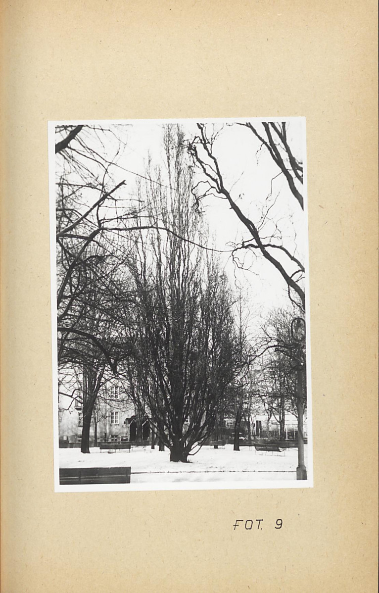 Ewidencja parkowa, skan nr 40