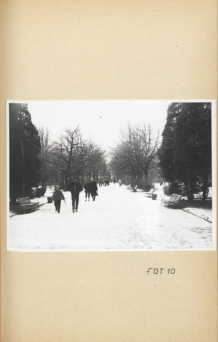 Ewidencja parkowa, skan nr 41