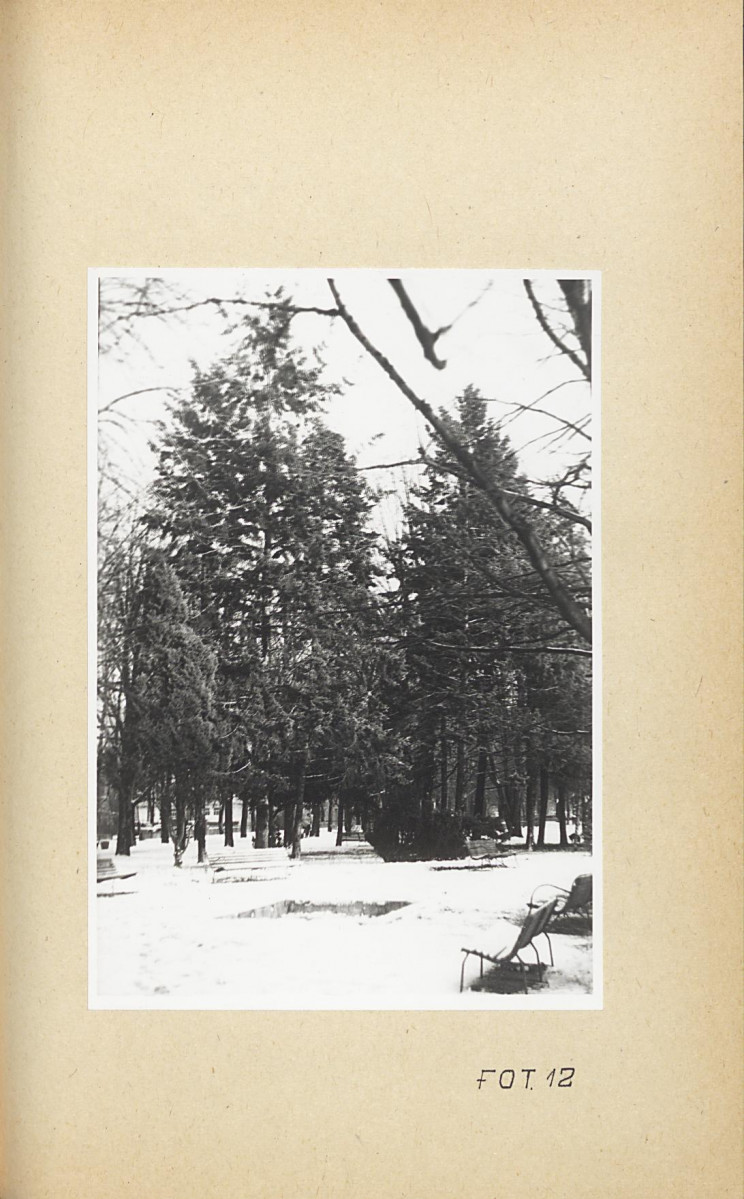 Ewidencja parkowa, skan nr 43