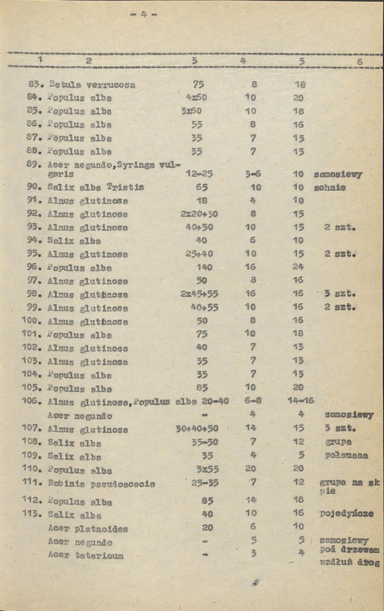 Ewidencja parkowa, skan nr 23