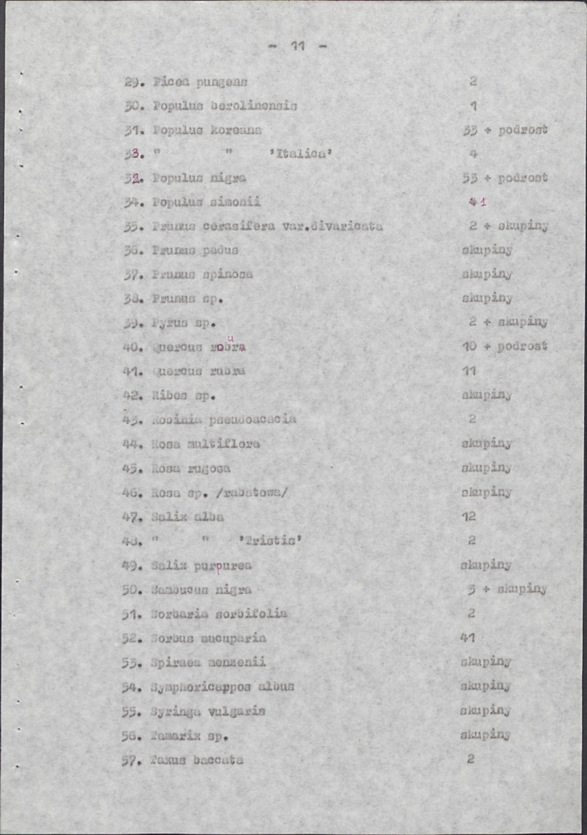 EP - Ewidencja parkowa, skan nr 19