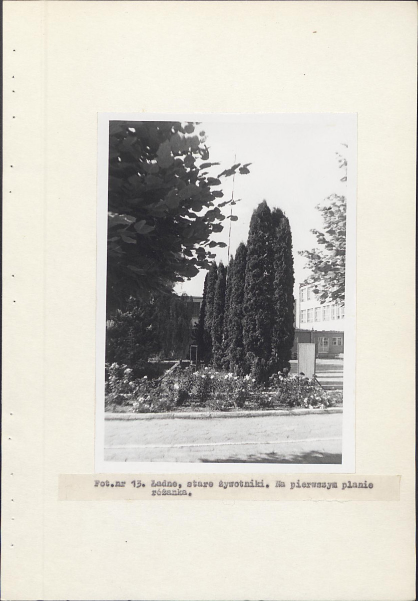 EP - Ewidencja parkowa, skan nr 33