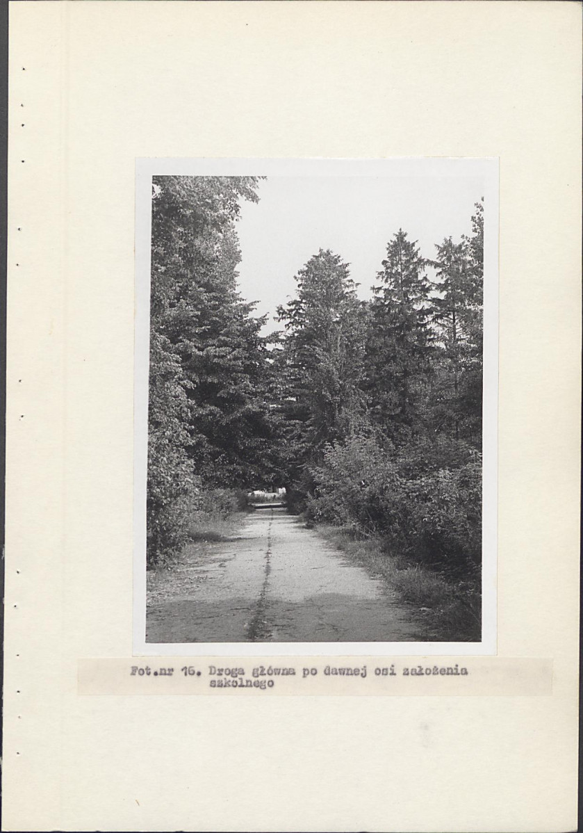 EP - Ewidencja parkowa, skan nr 36