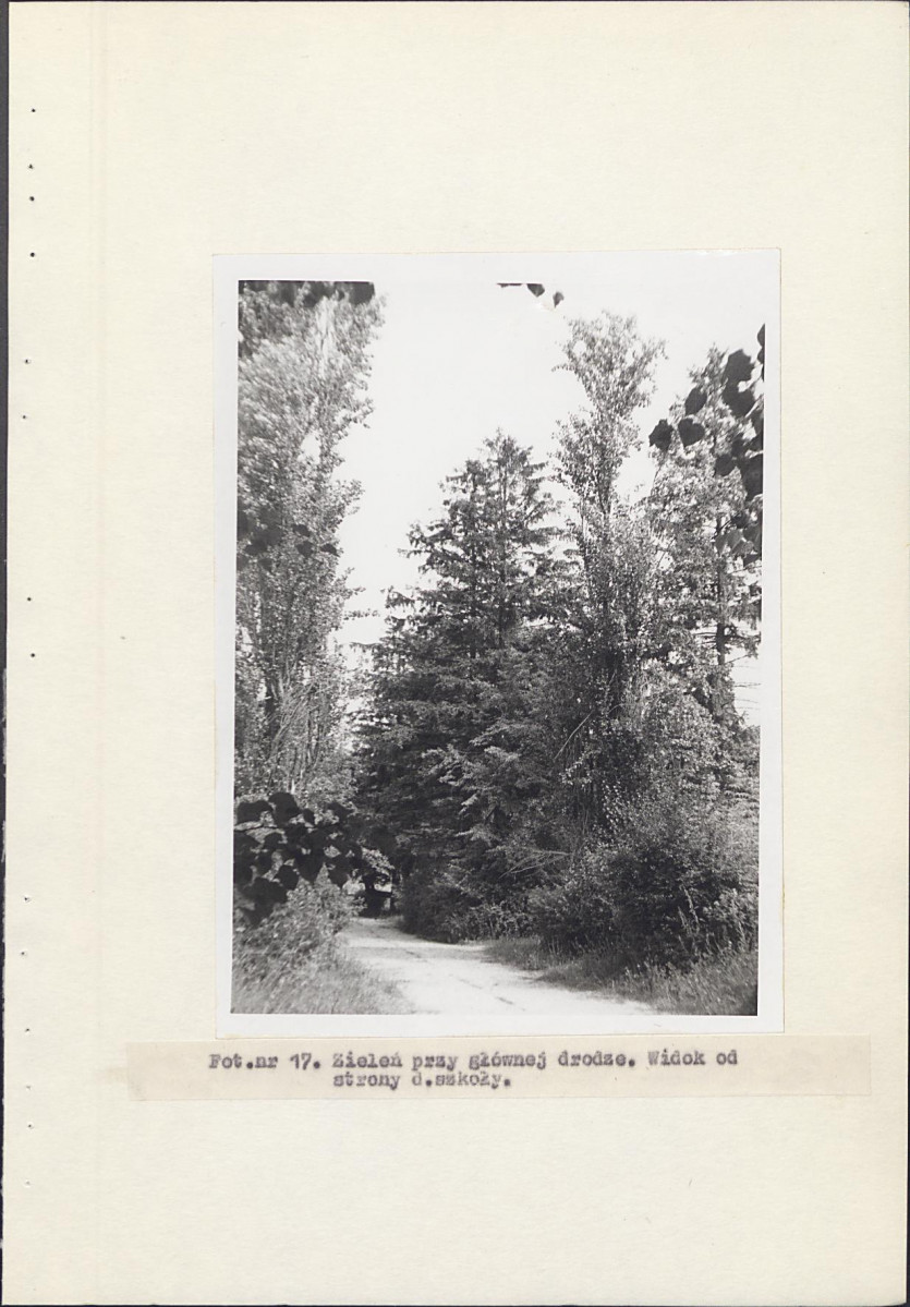 EP - Ewidencja parkowa, skan nr 37