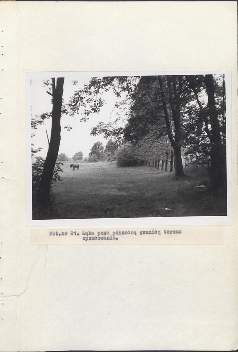 EP - Ewidencja parkowa, skan nr 40