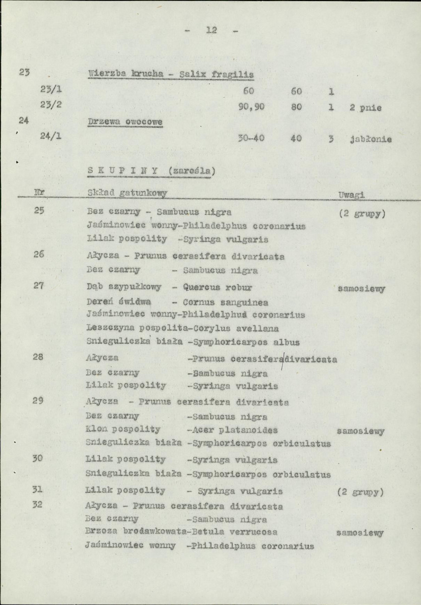 Ewidencja parkowa, skan nr 19
