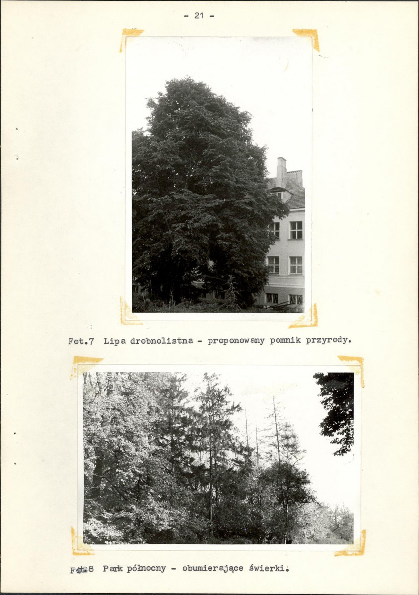 Ewidencja parkowa, skan nr 28