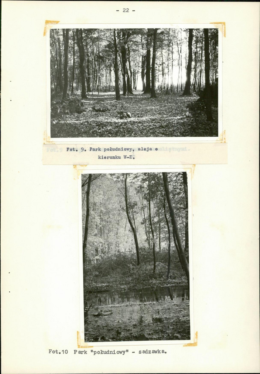 Ewidencja parkowa, skan nr 29