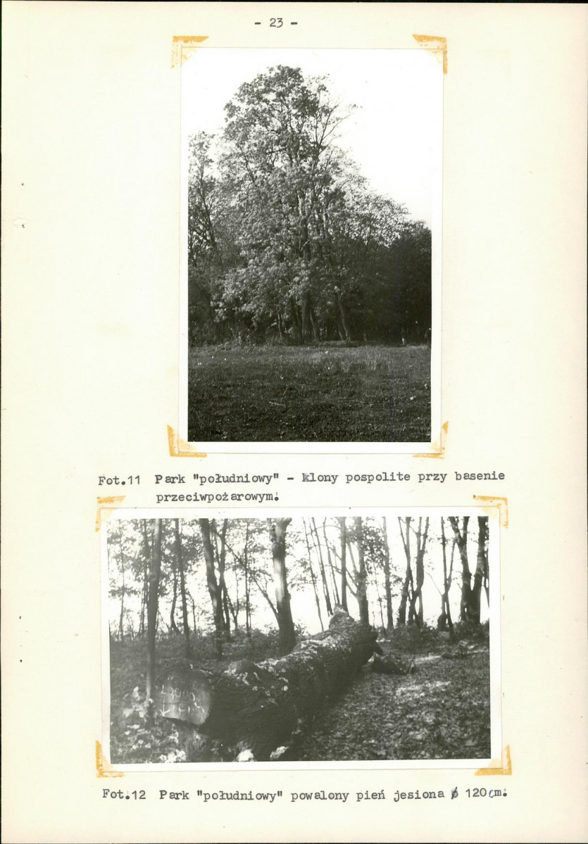 Ewidencja parkowa, skan nr 30