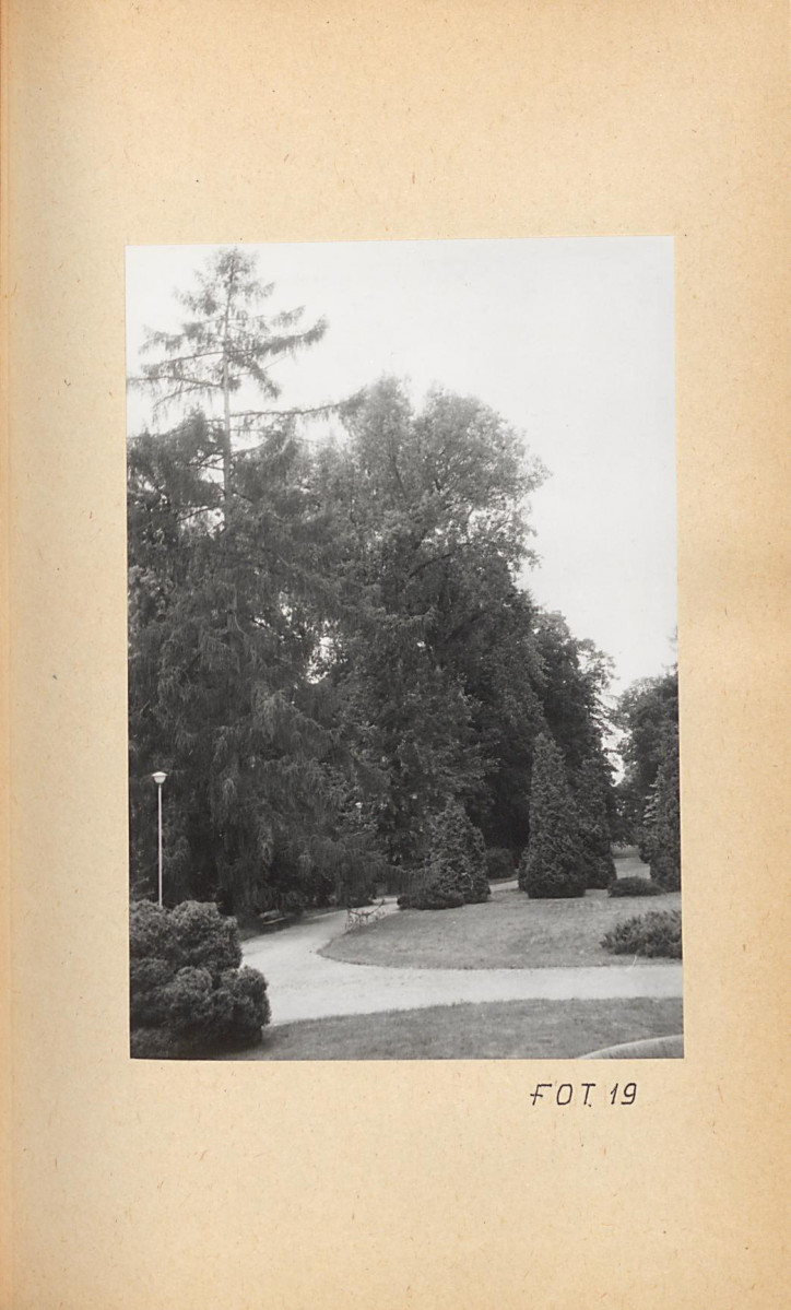 Ewidencja parkowa, skan nr 46