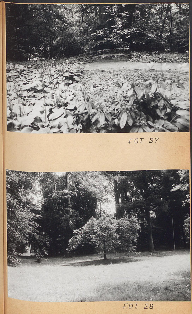Ewidencja parkowa, skan nr 52