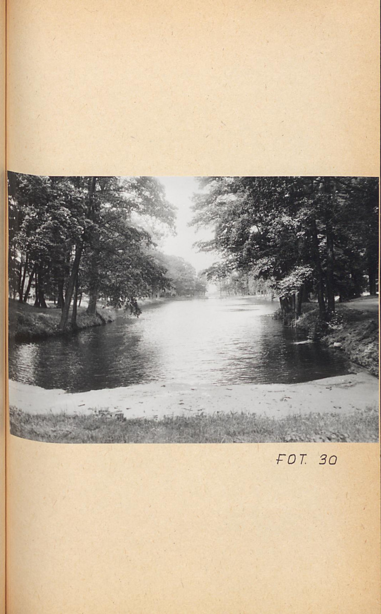 Ewidencja parkowa, skan nr 54