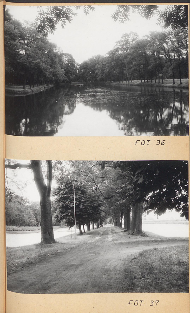 Ewidencja parkowa, skan nr 58