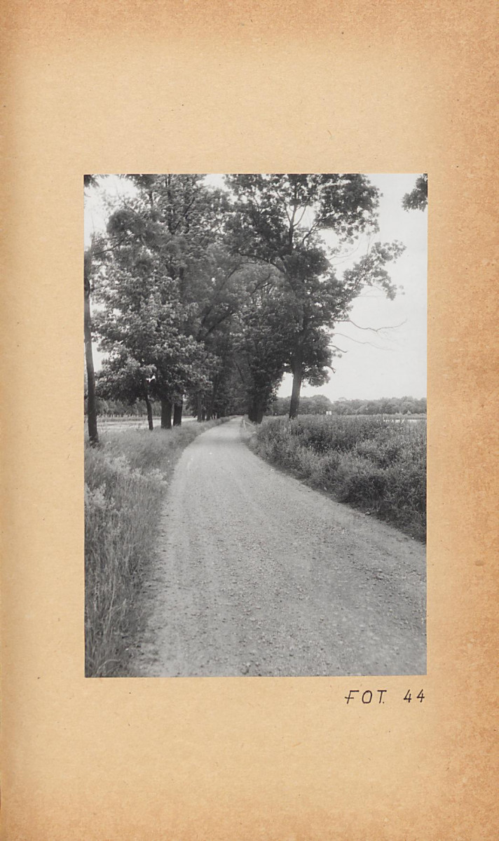 Ewidencja parkowa, skan nr 63