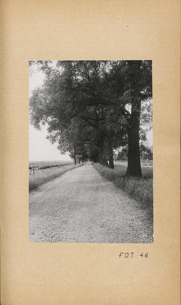 Ewidencja parkowa, skan nr 65