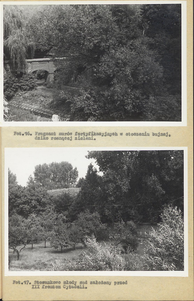 EP - Ewidencja parkowa, skan nr 59