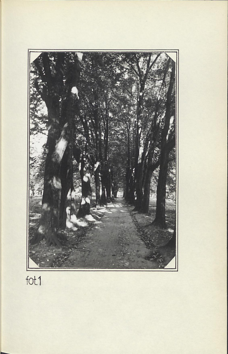 EP - Ewidencja parkowa, skan nr 20