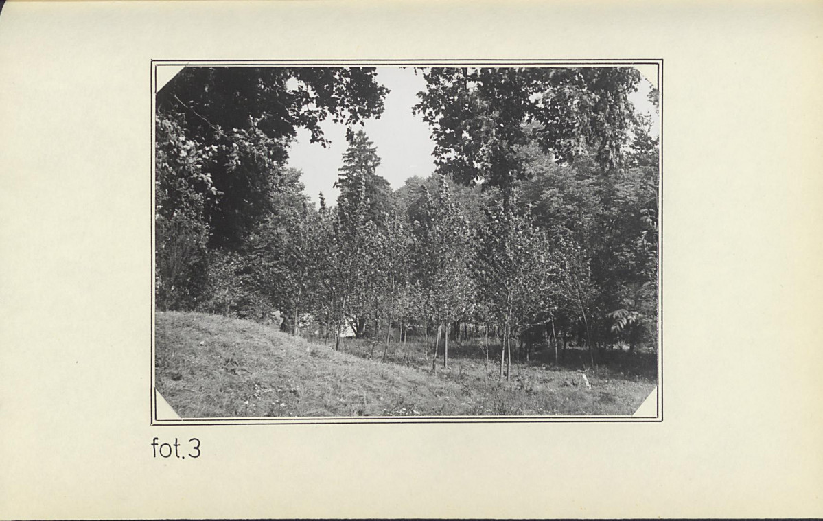 EP - Ewidencja parkowa, skan nr 20